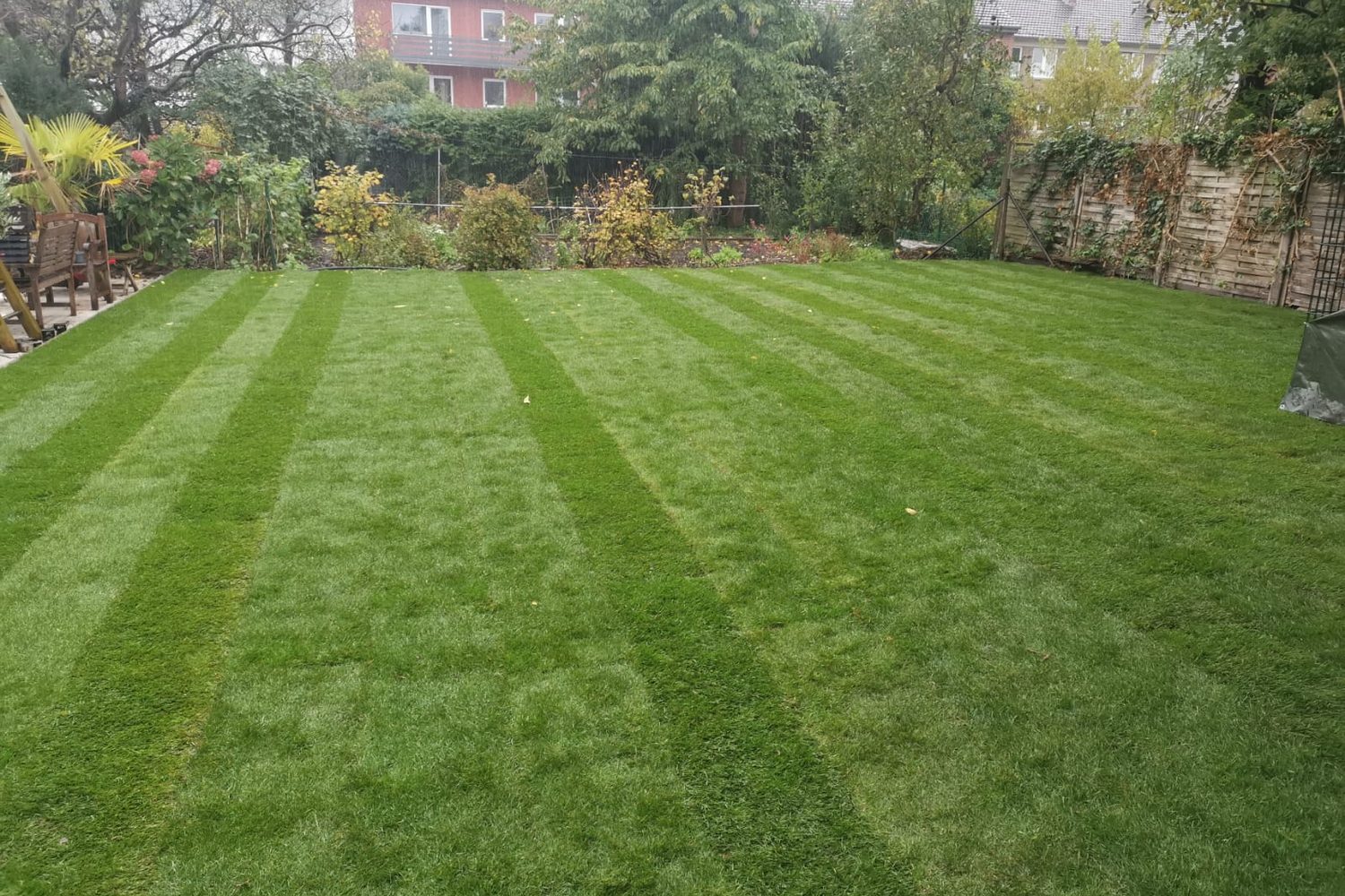 Gemähter Rasen mit sichtbaren Schnittbahnen in einem Hausgarten